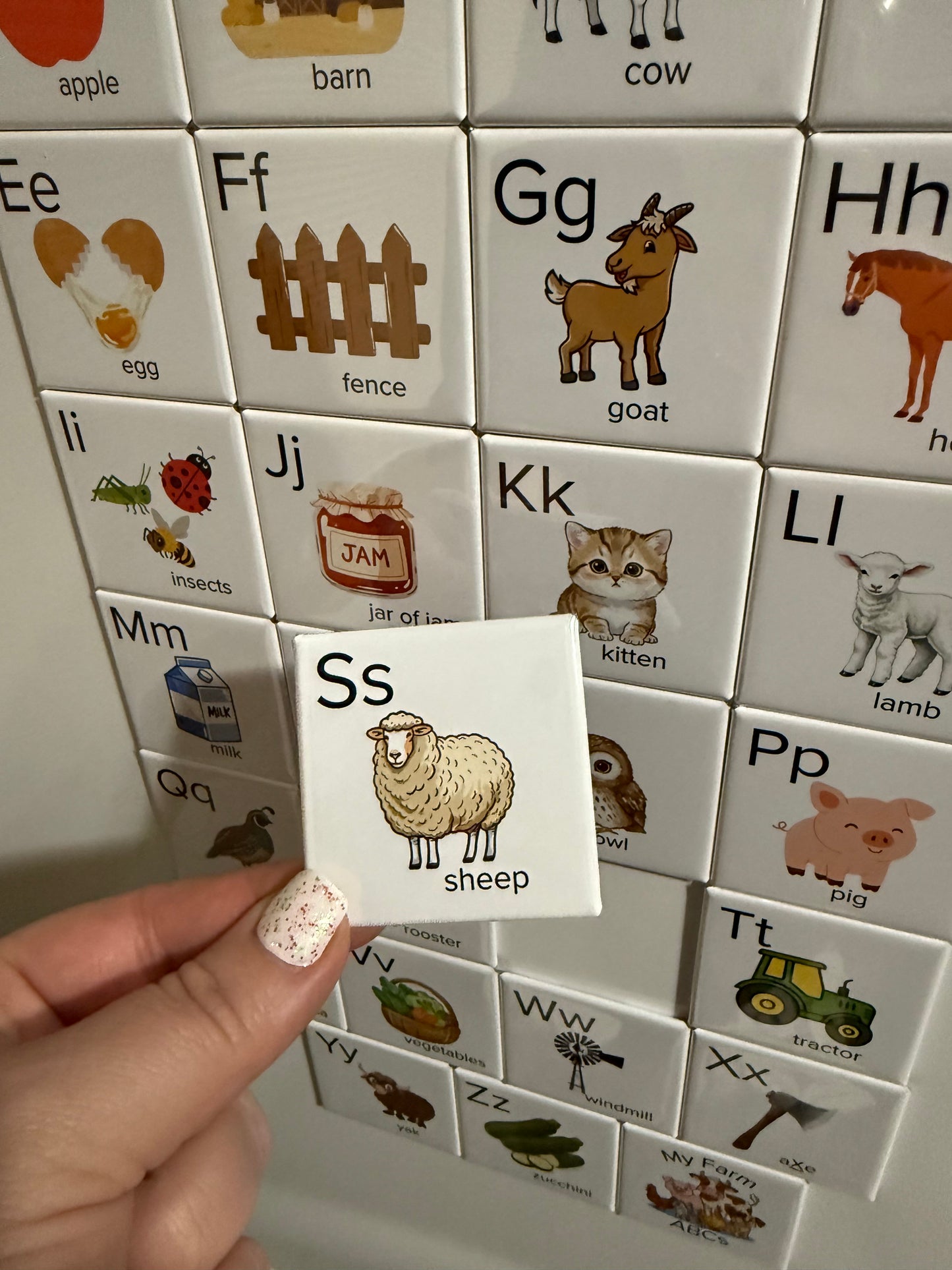 Alphabet magnets with animals