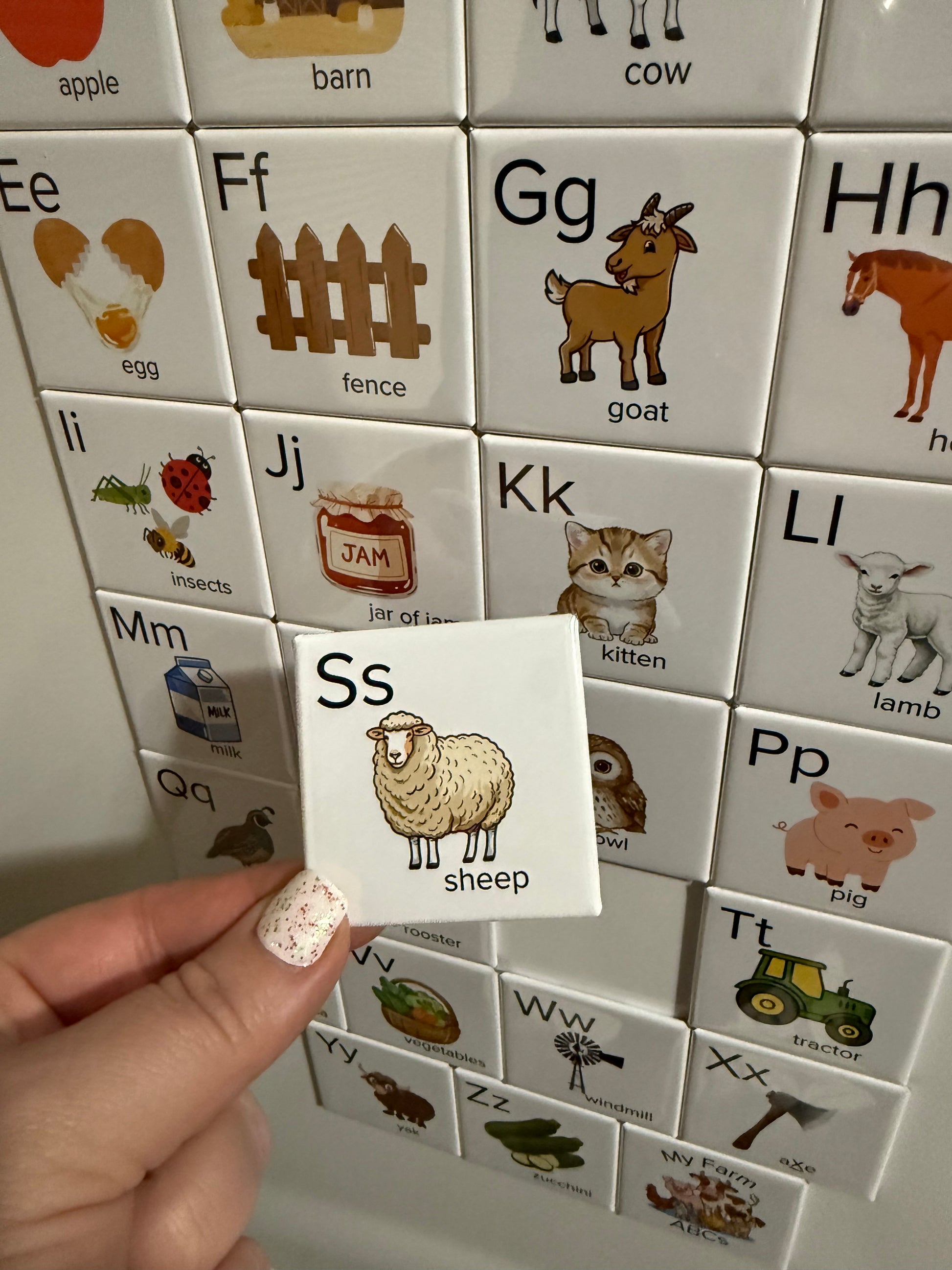 Alphabet magnets with animals