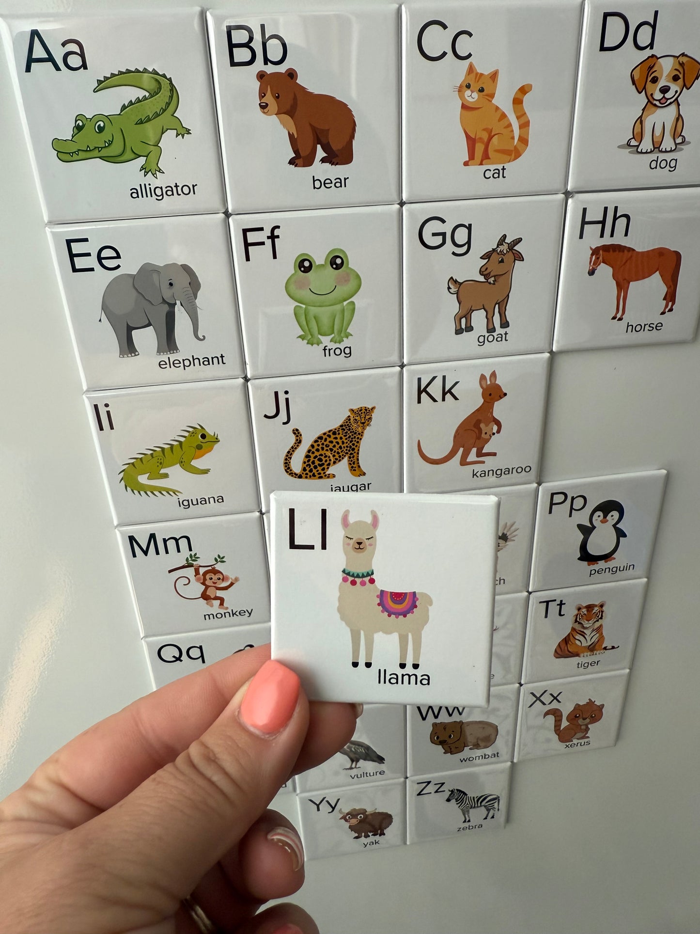Animal Alphabet Magnet Set