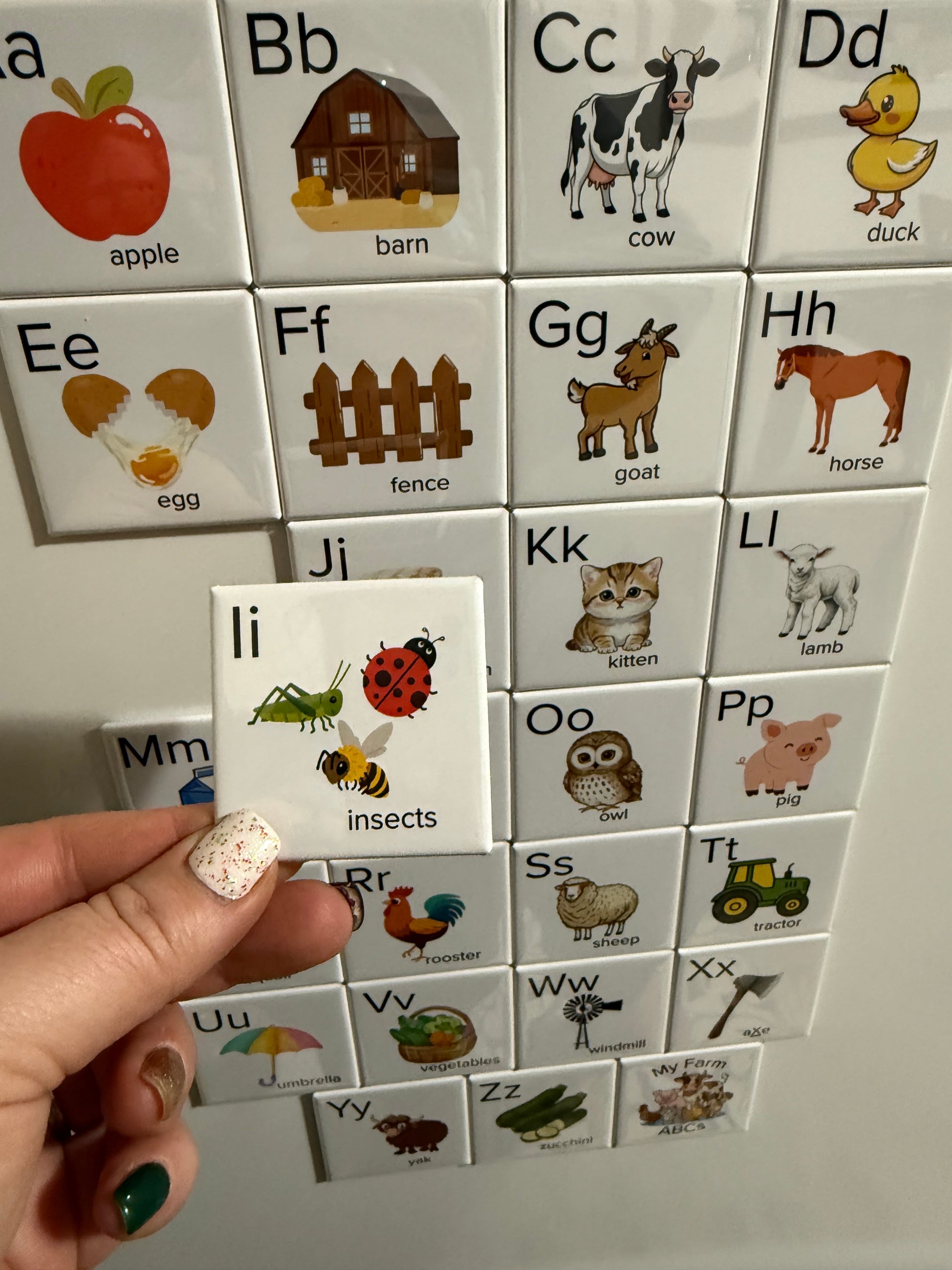 Alphabet magnets with animals